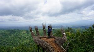 Hutan Pinus Pengger – The Enchanted Forest of Dlingo, Bantul Hutan Pinus Pengger – The Enchanted Forest of Dlingo, Bantul