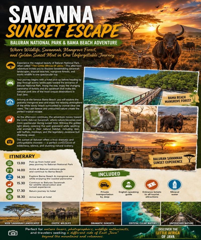 SAVANNA SUNSET ESCAPE Baluran National Park & Bama Beach Adventure SAVANNA SUNSET ESCAPE Baluran National Park & Bama Beach Adventure