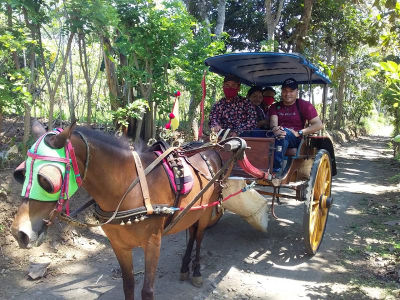 Wisata Andong di Prambanan Wisata Andong di Prambanan
