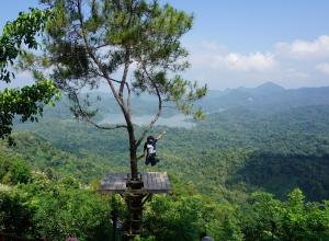 Wisata Alam Kalibiru Kulon Progo