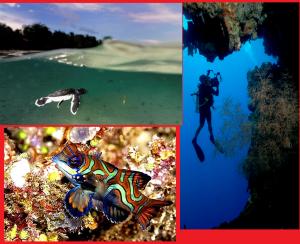 Derawan Archipelago Derawan Archipelago
